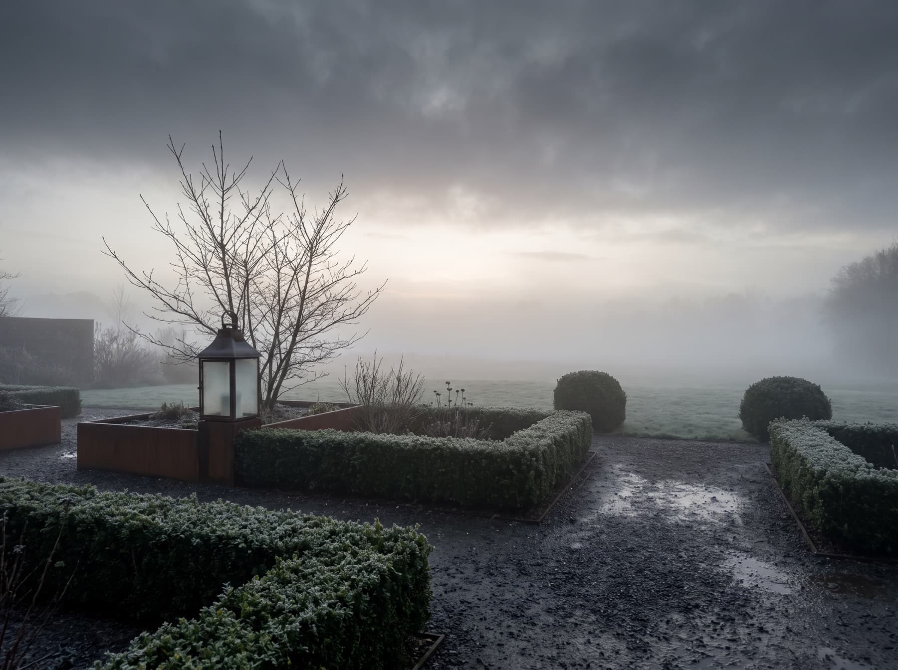 Jardin au petit matin, brume basse sur les haies taillées